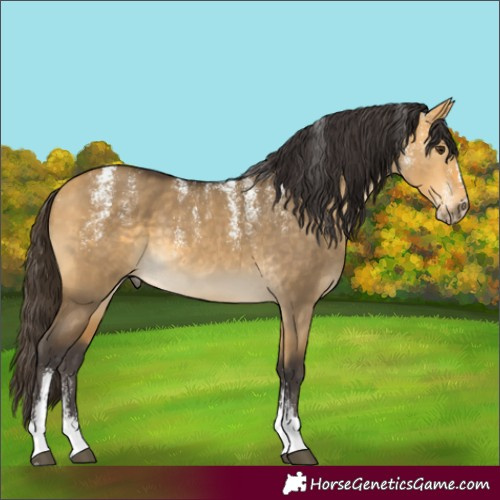 Horse Color:Powder White Buckskin Dun 
