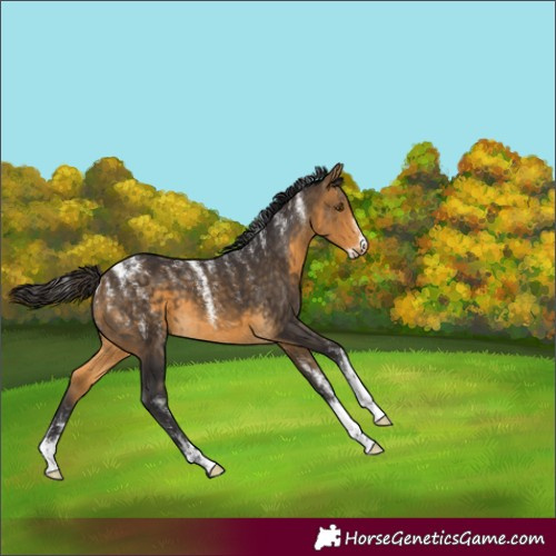 Horse Color:Powder White Buckskin