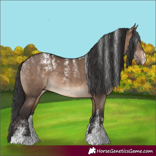 Horse Color:Powder White Brown Dun Rabicano 