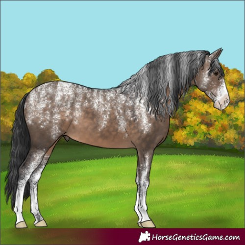 Horse Color:Powder White Brown Dun 