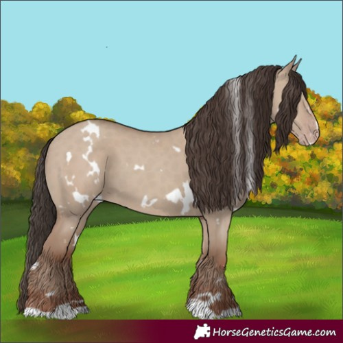 Horse Color:White Spotted Classic Champagne Dun 