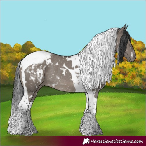 Horse Color:White Spotted Grullo Tobiano Snowcap Rabicano