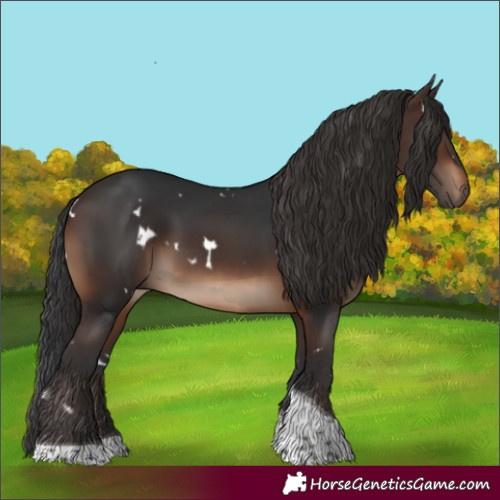 Horse Color:White Spotted Brown Tobiano 