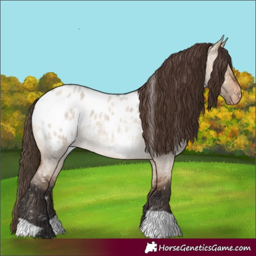 Horse Color:Bay Roan Dun Blanket 