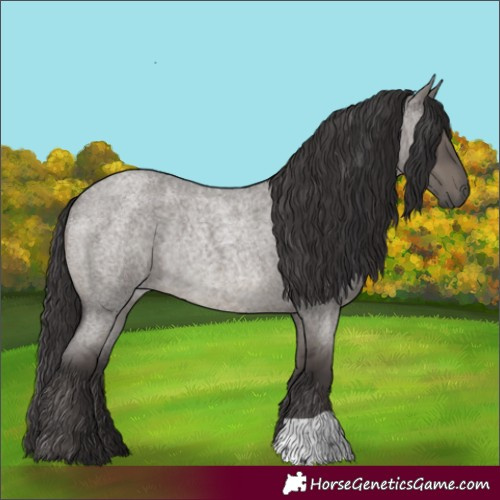 Horse Color:Smoky Grullo Roan Rabicano 