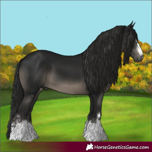 Horse Color:Gray Black 