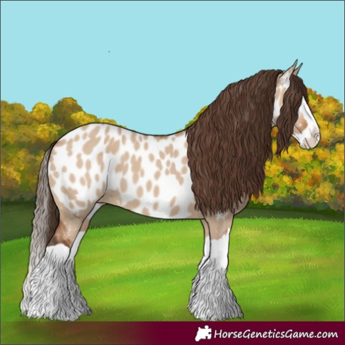 Horse Color:Bay Dun Splash Near Leopard 