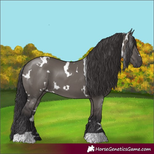 Horse Color:White Spotted Smoky Grullo