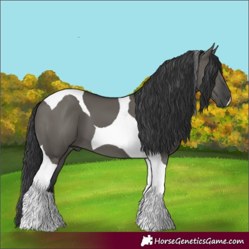 Horse Color:Grullo Tobiano