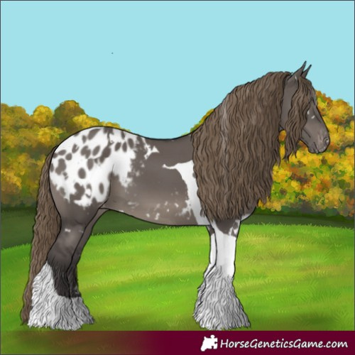 Horse Color:White Spotted Smoky Grullo Tobiano Blanket