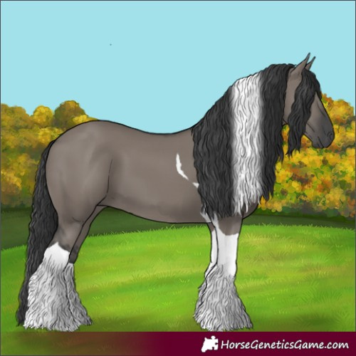 Horse Color:Grullo Tobiano 