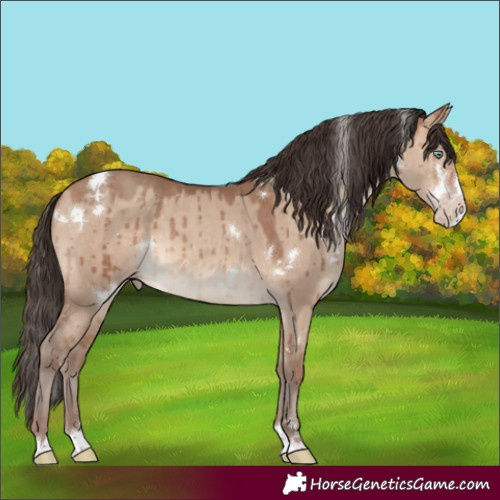 Horse Color:White Spotted Sable Champagne Dun Splash Rabicano Brindle
