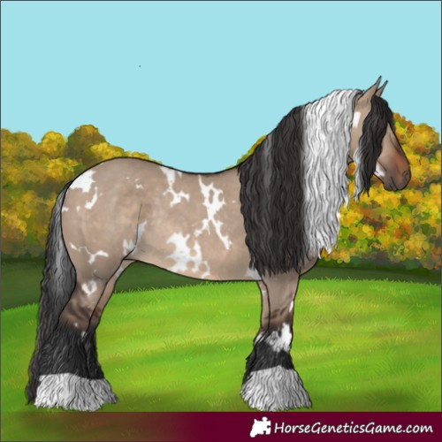 Horse Color:White Spotted Brown Dun Rabicano