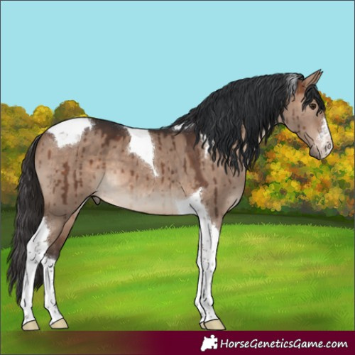 Horse Color:Brown Dun Tobiano Brindle 