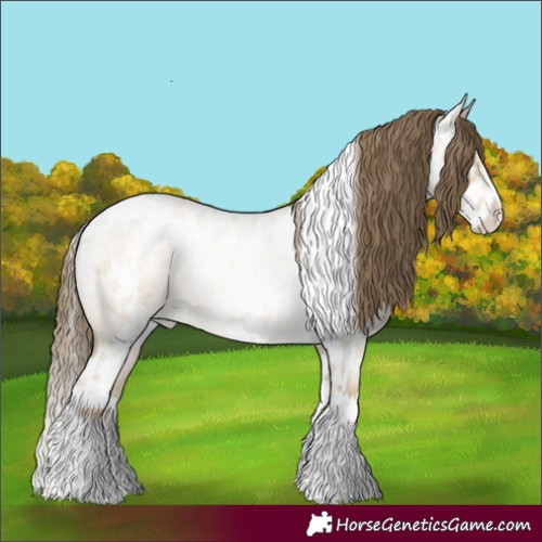 Horse Color:White Spotted Buckskin Roan Pearl Dun Splash Skewed LP Spotted 