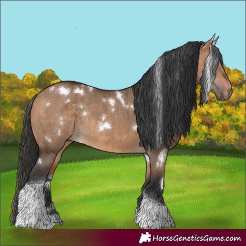 Horse Color:White Spotted Bay Dun Tobiano Rabicano Brindle