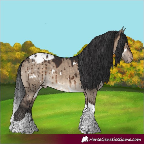 Horse Color:White Spotted Brown Dun Tobiano Blanket Rabicano Brindle 