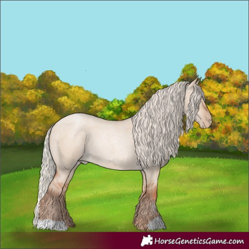 Horse Color:Silver Grullo Roan Pearl