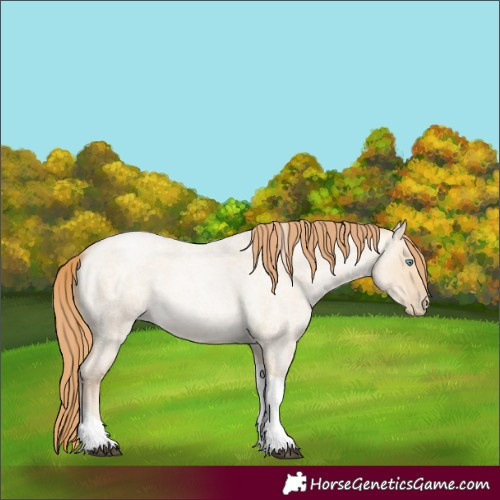 Horse Color:Smoky Grullo Roan Snowdrop Tobiano Rabicano 