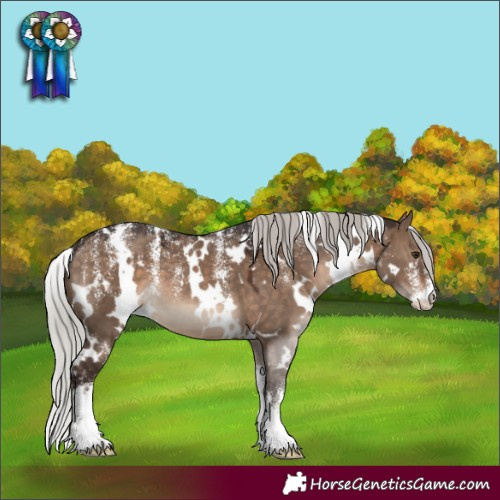 Horse Color:Powder White White Spotted Silver Brown Dun
