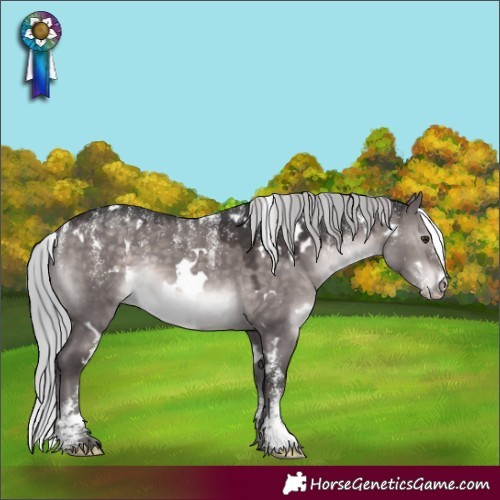 Horse Color:Powder White Platinum White Spotted Silver Brown Dun 