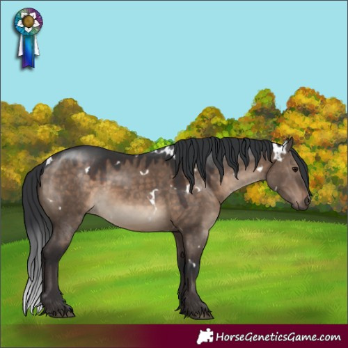 Horse Color:White Spotted Brown Dun 