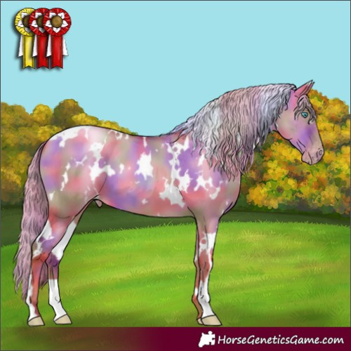 Horse Color:Gray Nacre White Spotted Gold Champagne Pearl Dun Varnish 