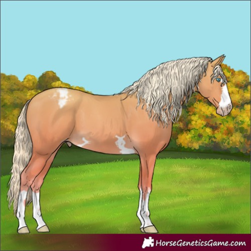 Horse Color:Gray Cremello Varnish