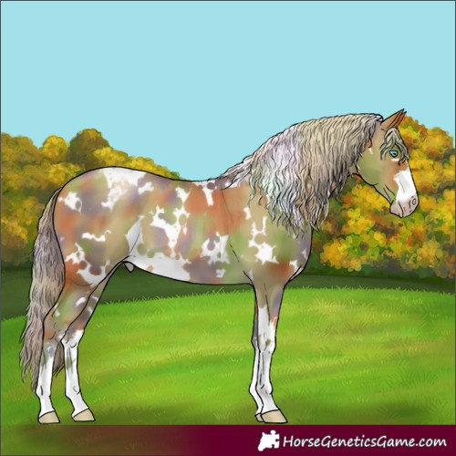 Horse Color:Gray Nacre White Spotted Palomino Pearl Varnish 