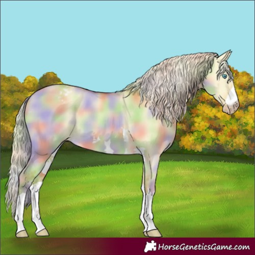 Horse Color:Gray Nacre Cremello Dun Varnish
