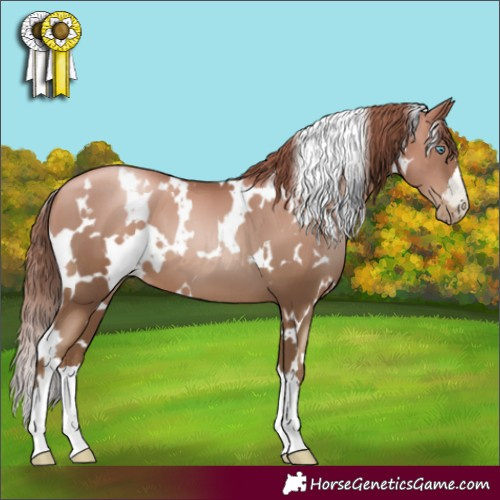 Horse Color:Gray White Spotted Gold Champagne Pearl Varnish 