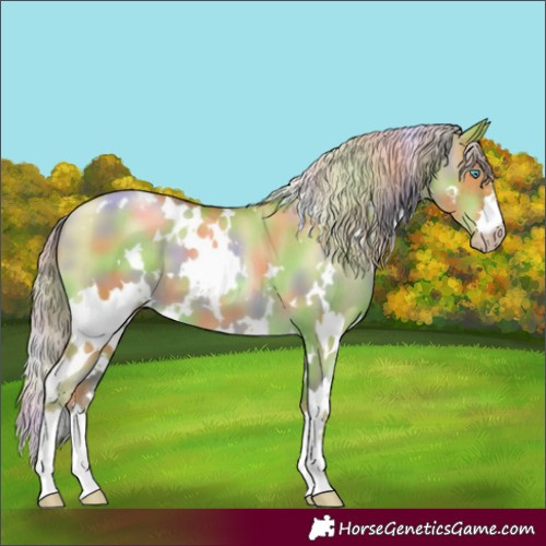 Horse Color:Gray Nacre White Spotted Gold Cream Champagne Pearl Dun Varnish 