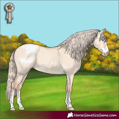 Horse Color:Gray Cremello Dun Snowcap 