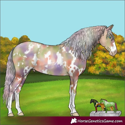 Horse Color:Gray Nacre White Spotted Gold Cream Champagne Pearl Varnish 