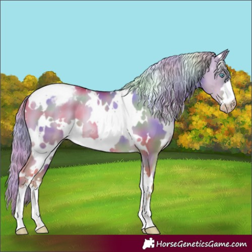 Horse Color:Gray Nacre White Spotted Gold Cream Champagne Pearl Dun Snowcap