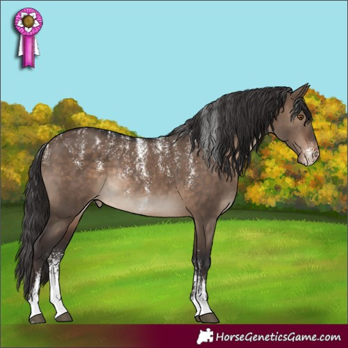 Horse Color:Powder White Brown Dun Blanket Rabicano