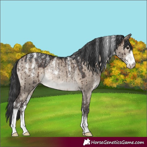 Horse Color:Powder White Brown Dun Varnish Rabicano Brindle 