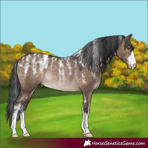 Horse Color:Powder White Brown Dun Rabicano