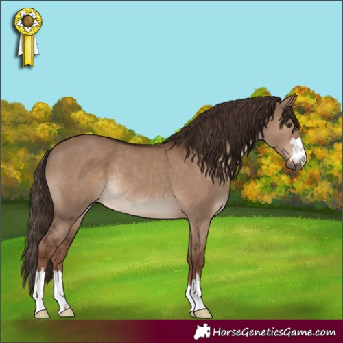 Horse Color:Liver Red Dun Rabicano