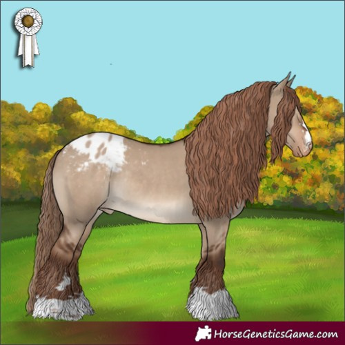 Horse Color:Liver Red Dun Blanket Rabicano