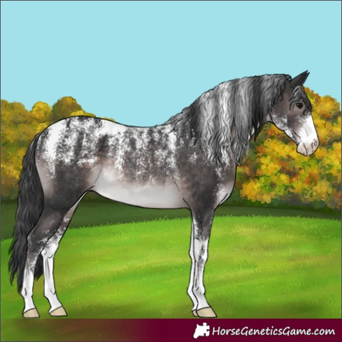 Horse Color:Powder White Platinum Brown Rabicano 