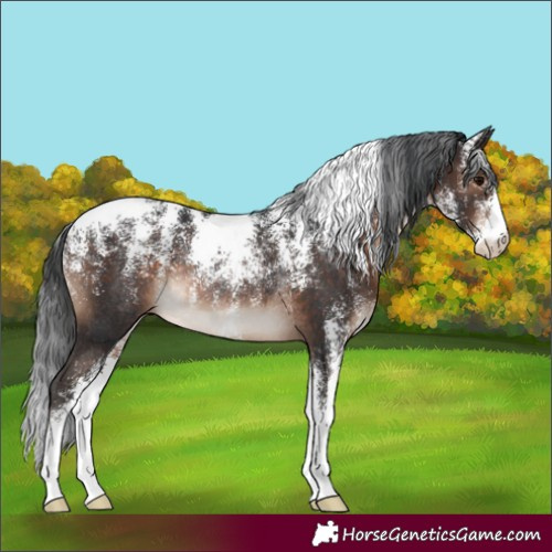 Horse Color:Powder White Brown Rabicano
