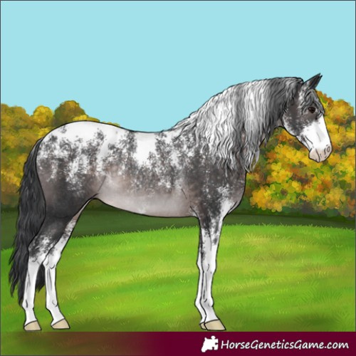Horse Color:Powder White Platinum Brown Rabicano 
