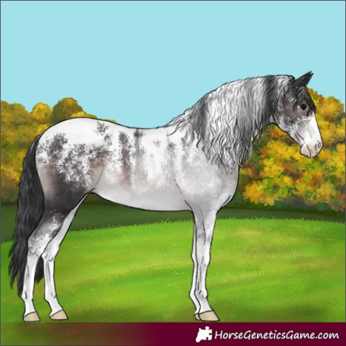Horse Color:Powder White Platinum Brown Rabicano 