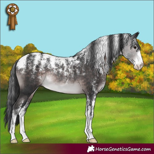 Horse Color:Powder White Platinum Brown Rabicano