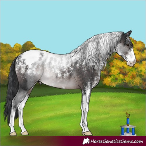 Horse Color:Powder White Platinum Brown Rabicano