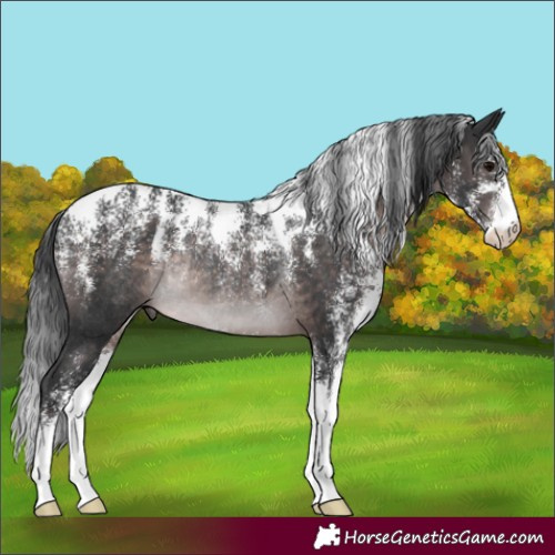 Horse Color:Powder White Platinum Brown Rabicano 