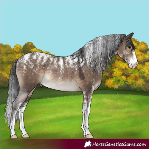 Horse Color:Powder White Brown Dun Rabicano 