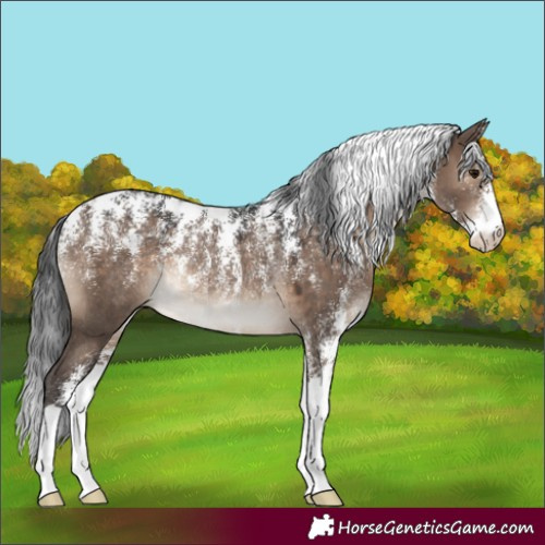 Horse Color:Powder White Brown Dun Rabicano 