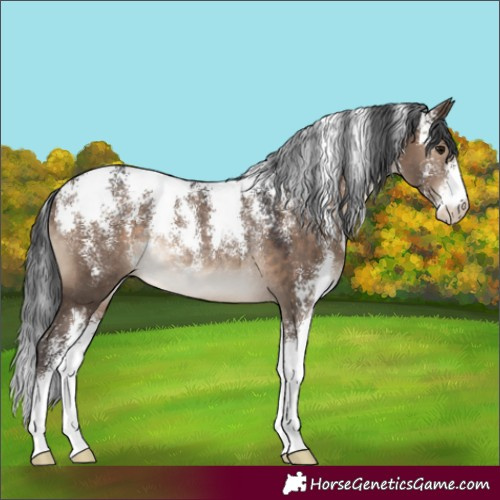 Horse Color:Powder White Brown Dun Rabicano